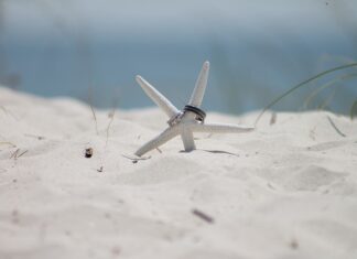 Jak dobrać obrączkę? Jak dobrać obrączkę?