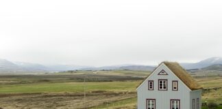 Co jeść aby mieć płaski brzuch?