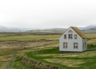 Co jeść aby mieć płaski brzuch? Co jeść aby mieć płaski brzuch?