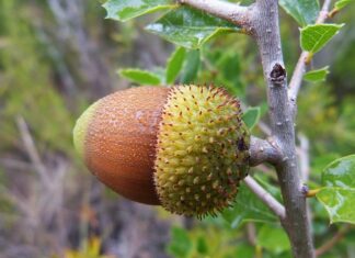 Jak pozbyć się wilgoci z butów?