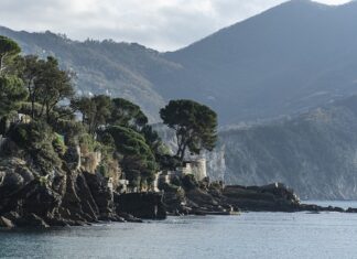 Ile kosztuje komplet obrączek?