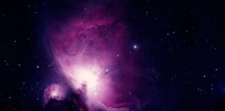 Co oznacza czarny parasol?