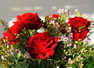 Jaki jest najdroższy kamień w pierścionku?