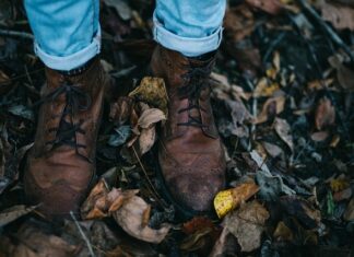 Jak dbać o skórzane buty domowym sposobem? Jak dbać o skórzane buty domowym sposobem?