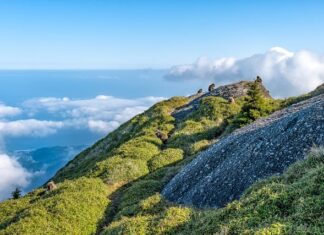 Jaka jest różnica między diamentem a brylantem?