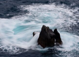 Jakie są ceny peruki?